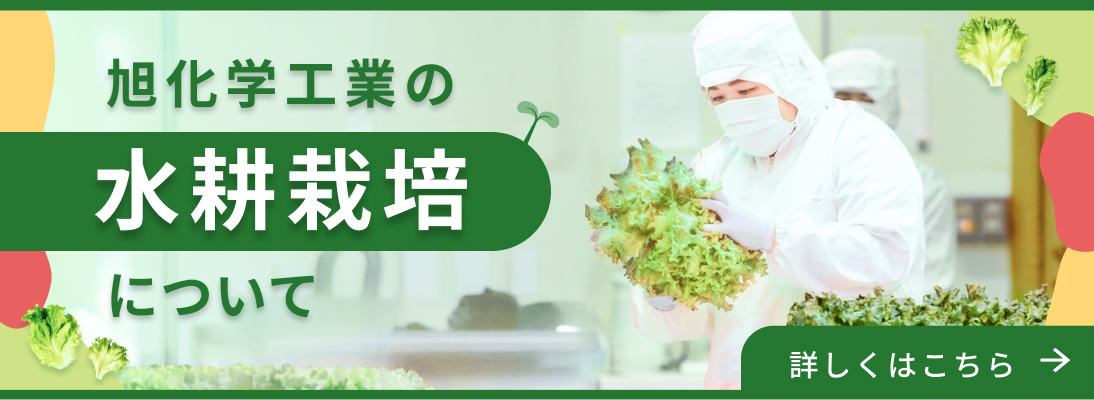 旭化学工業の水耕栽培について
