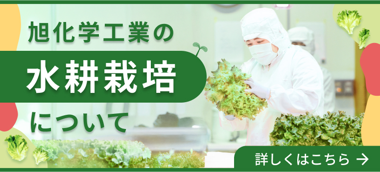 旭化学工業の水耕栽培について