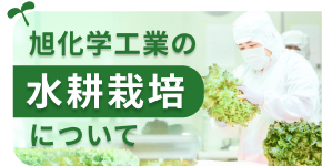 旭化学工業の水耕栽培について