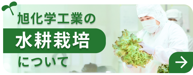 旭化学工業の水耕栽培について
